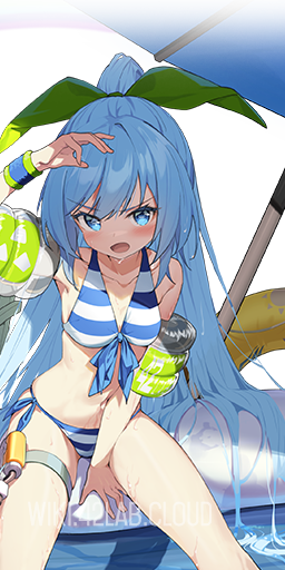 Npic max swimsuit.png