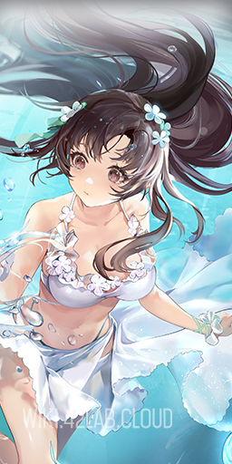 Npic camellia swimsuit.png